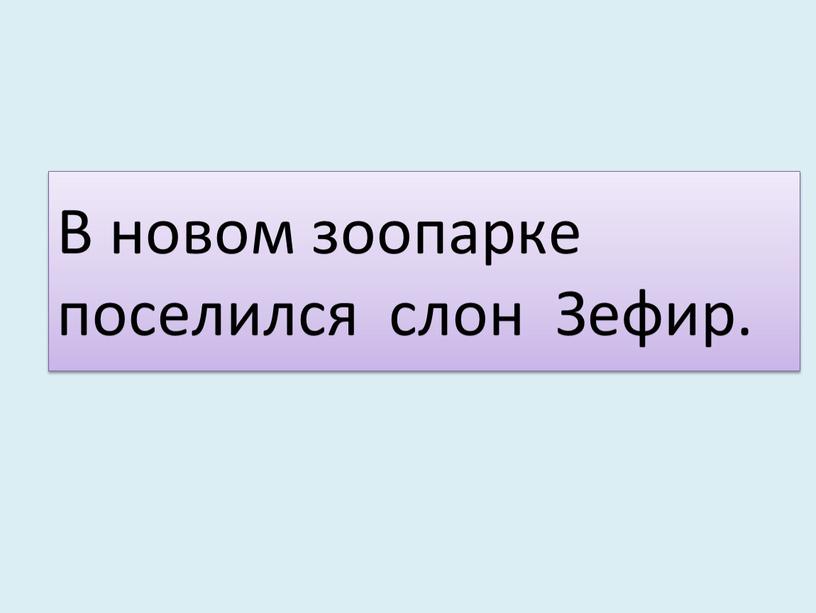 В новом зоопарке поселился слон