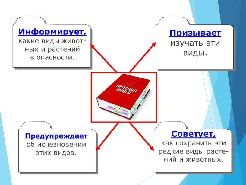 Информирует, какие виды живот- ных и растений в опасности