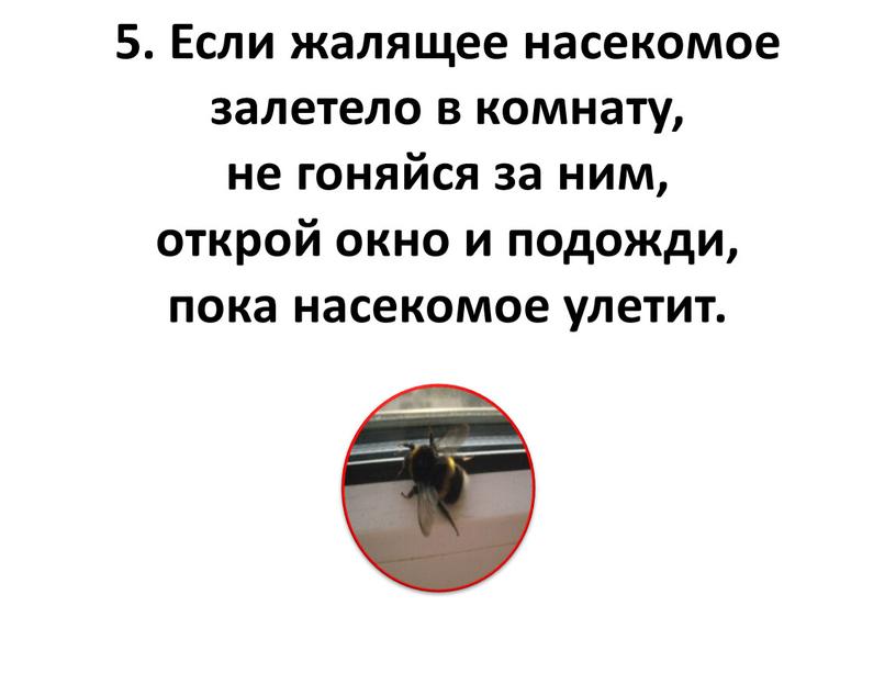 Если жалящее насекомое залетело в комнату, не гоняйся за ним, открой окно и подожди, пока насекомое улетит