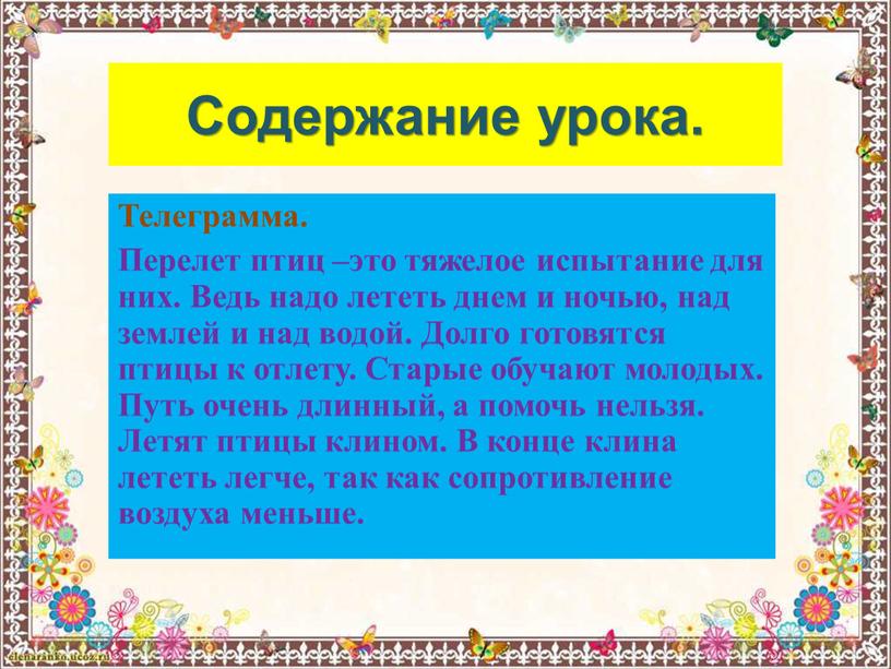 Содержание урока. Телеграмма. Перелет птиц –это тяжелое испытание для них