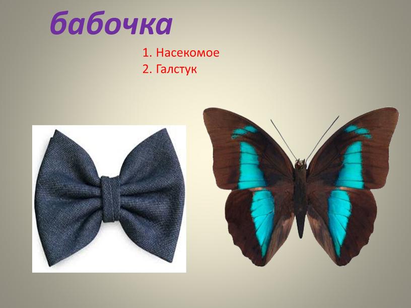 бабочка 1. Насекомое 2. Галстук