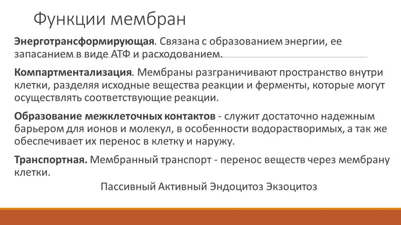 Энерготрансформирующая . Связана с образованием энергии, ее запасанием в виде