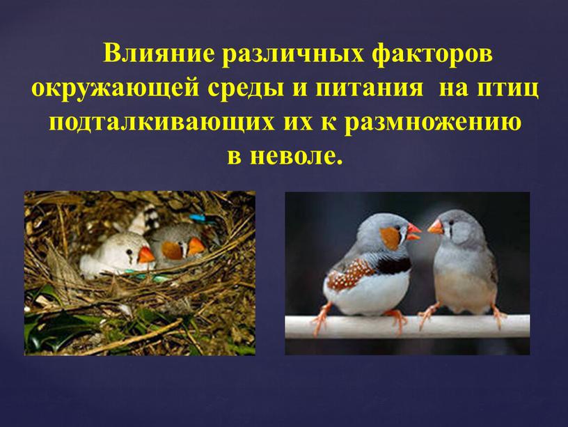 Влияние различных факторов окружающей среды и питания на птиц подталкивающих их к размножению в неволе