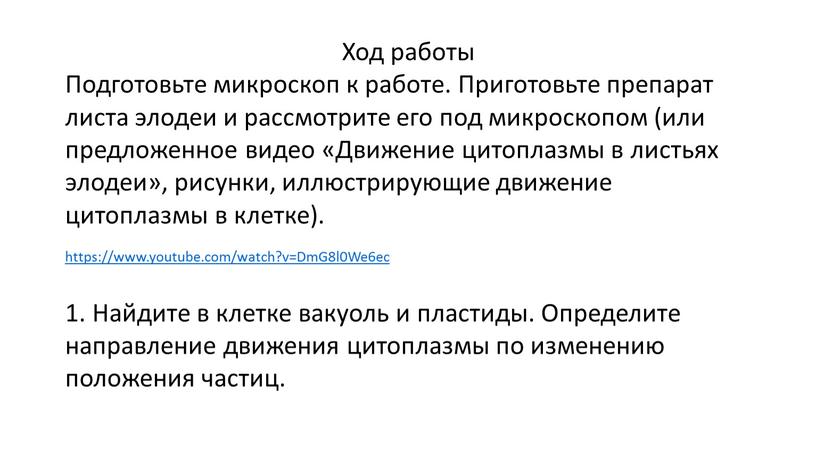 Ход работы Подготовьте микроскоп к работе