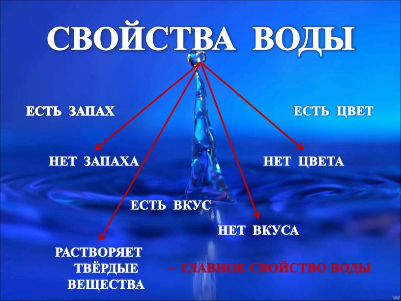 СВОЙСТВА ВОДЫ – ГЛАВНОЕ СВОЙСТВО