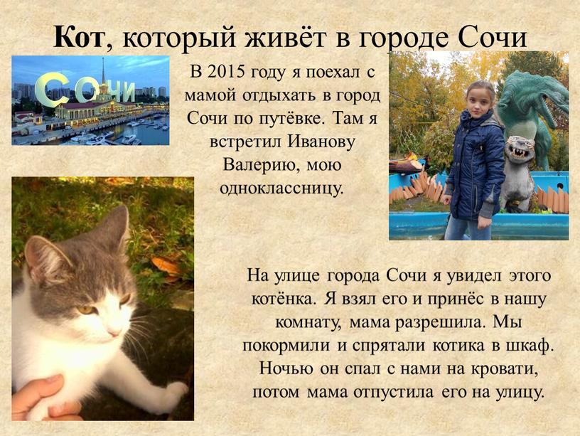 Кот , который живёт в городе Сочи