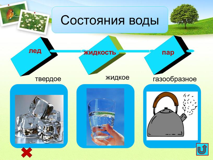 Состояния воды твердое газообразное жидкое лед жидкость пар