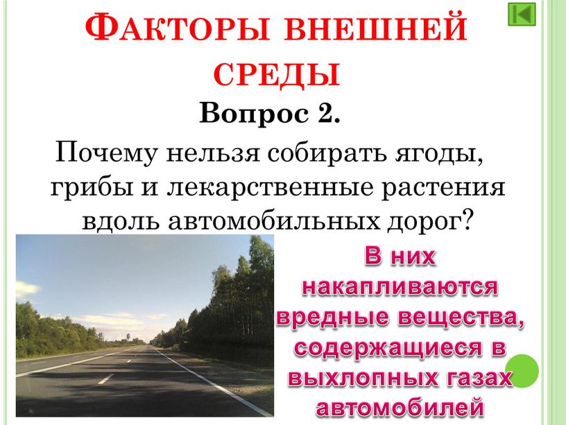 Вопрос 2. Почему нельзя собирать ягоды, грибы и лекарственные растения вдоль автомобильных дорог?