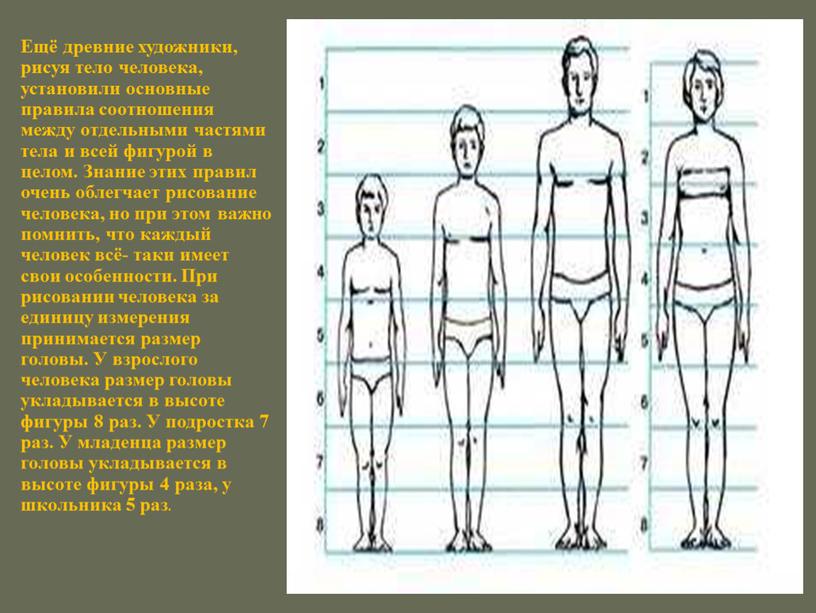 Ещё древние художники, рисуя тело человека, установили основные правила соотношения между отдельными частями тела и всей фигурой в целом