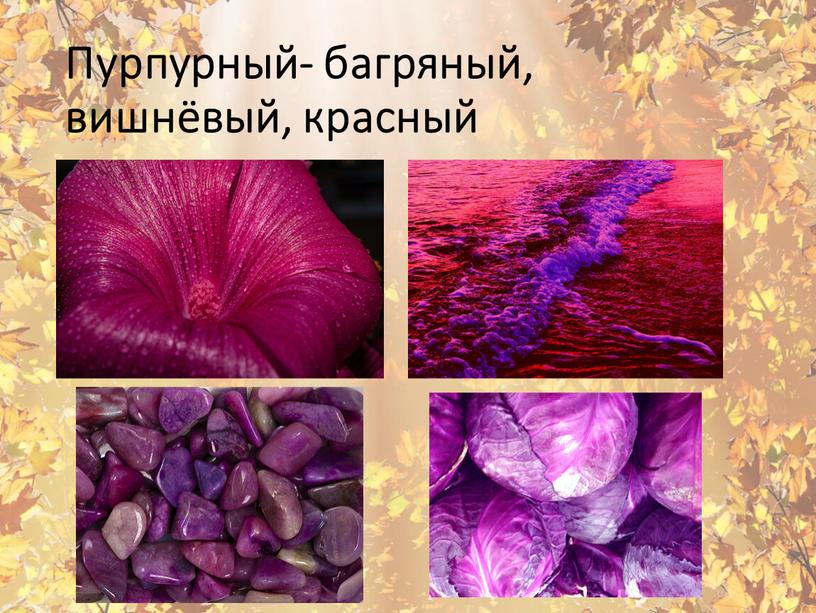 Пурпурный- багряный, вишнёвый, красный