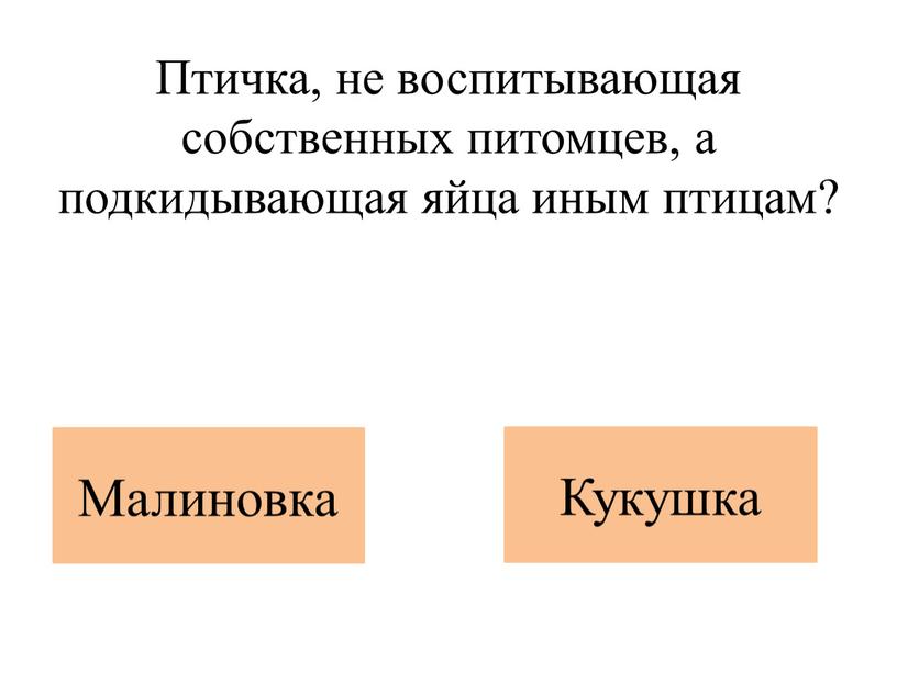 Птичка, не воспитывающая собственных питомцев, а подкидывающая яйца иным птицам?