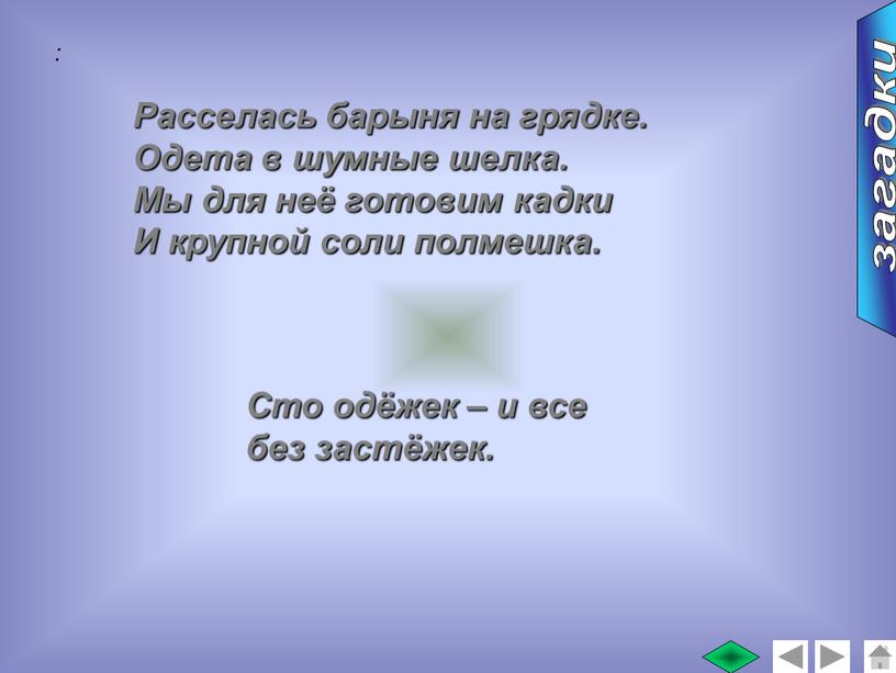 Расселась барыня на грядке. Одета в шумные шелка