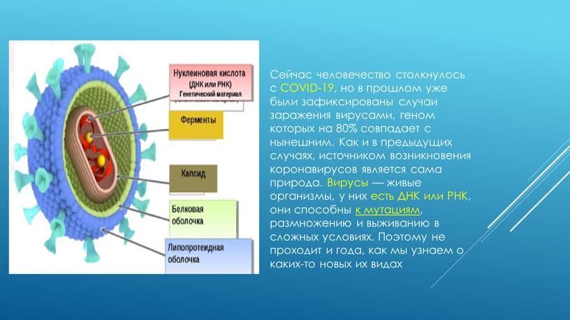 Сейчас человечество столкнулось с