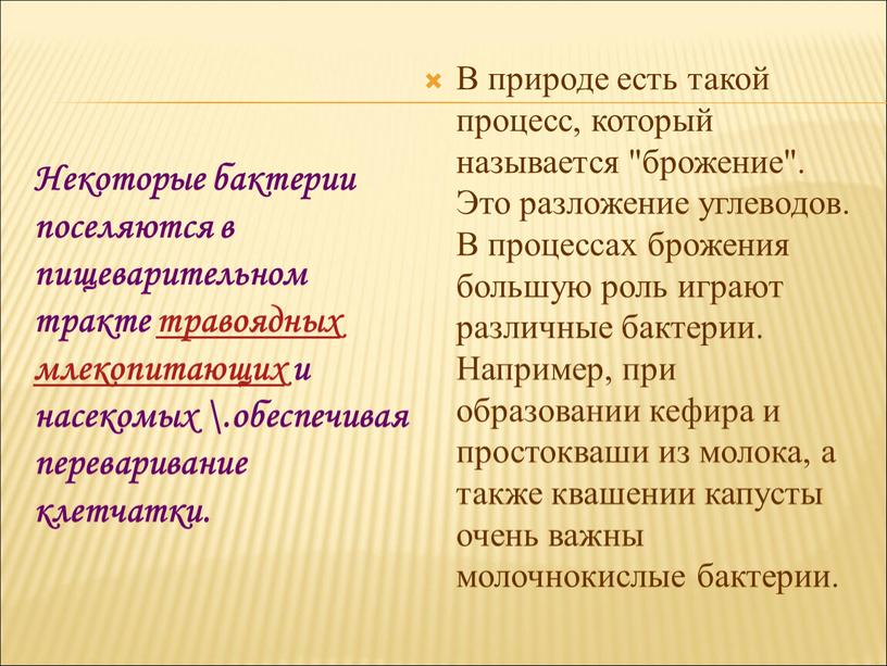 Некоторые бактерии поселяются в пищеварительном тракте травоядных млекопитающих и насекомых \