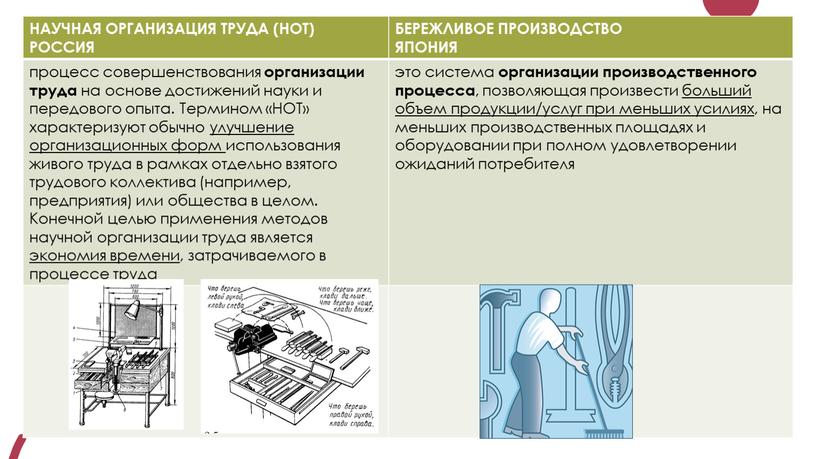 НАУЧНАЯ ОРГАНИЗАЦИЯ ТРУДА (НОТ)