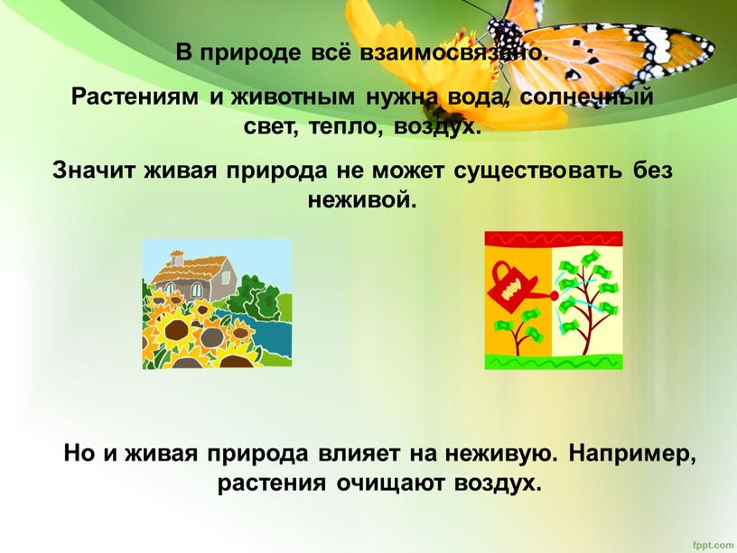 В природе всё взаимосвязано. Растениям и животным нужна вода, солнечный свет, тепло, воздух