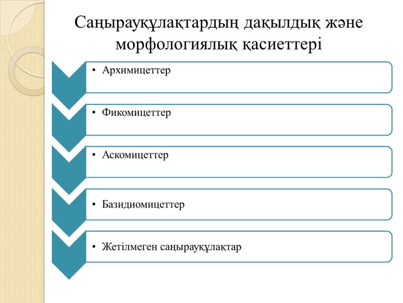 Саңырауқұлақтардың дақылдық және морфологиялық қасиеттері