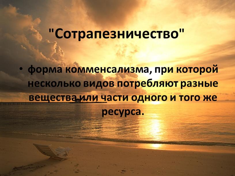 Сотрапезничество" форма комменсализма, при которой несколько видов потребляют разные вещества или части одного и того же ресурса