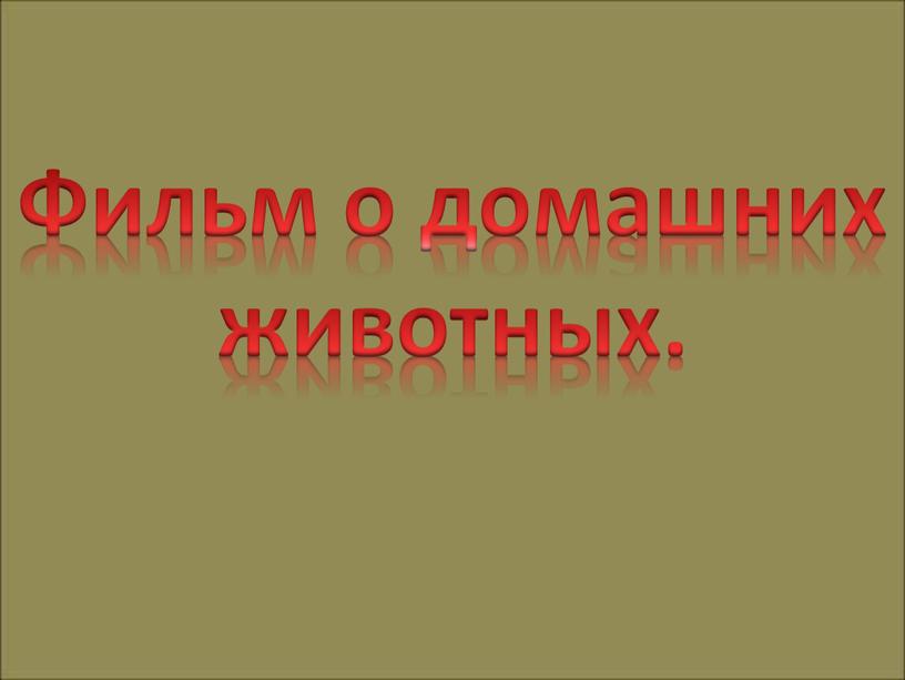 Фильм о домашних животных.