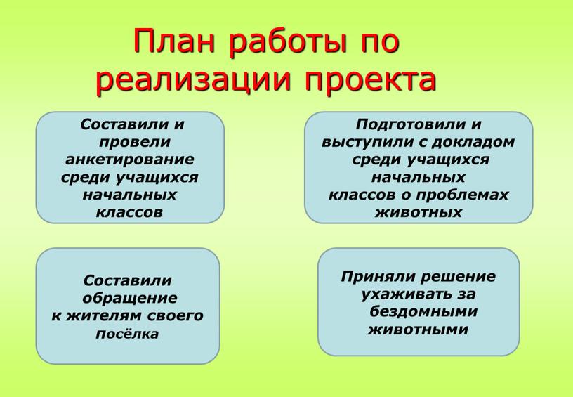 План работы по реализации проекта