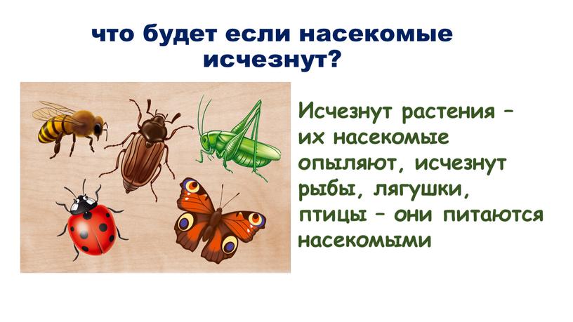 Исчезнут растения – их насекомые опыляют, исчезнут рыбы, лягушки, птицы – они питаются насекомыми