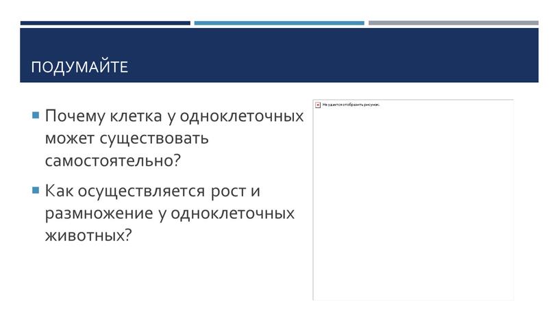 Подумайте Почему клетка у одноклеточных может существовать самостоятельно?