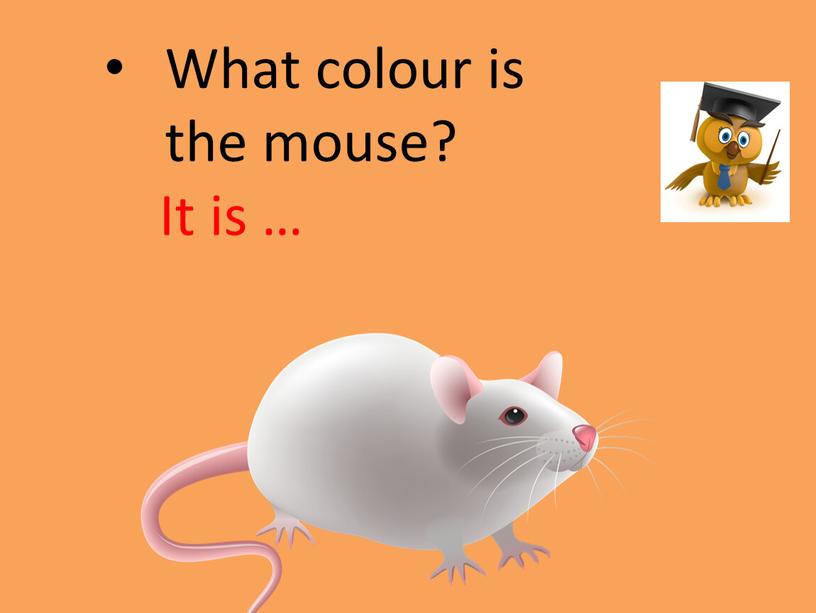 What сolour is the mouse? It is …