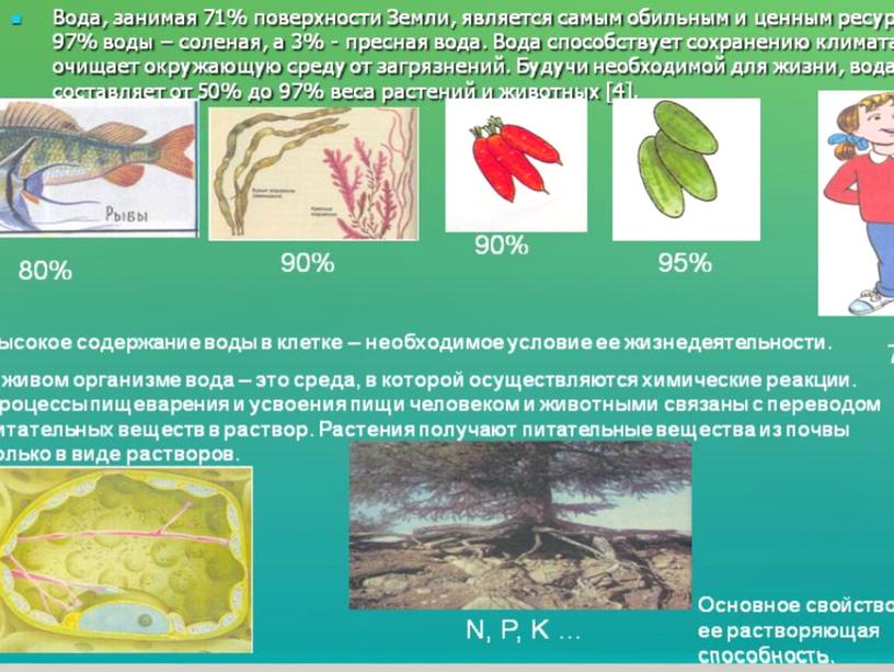 Все состоит из воды