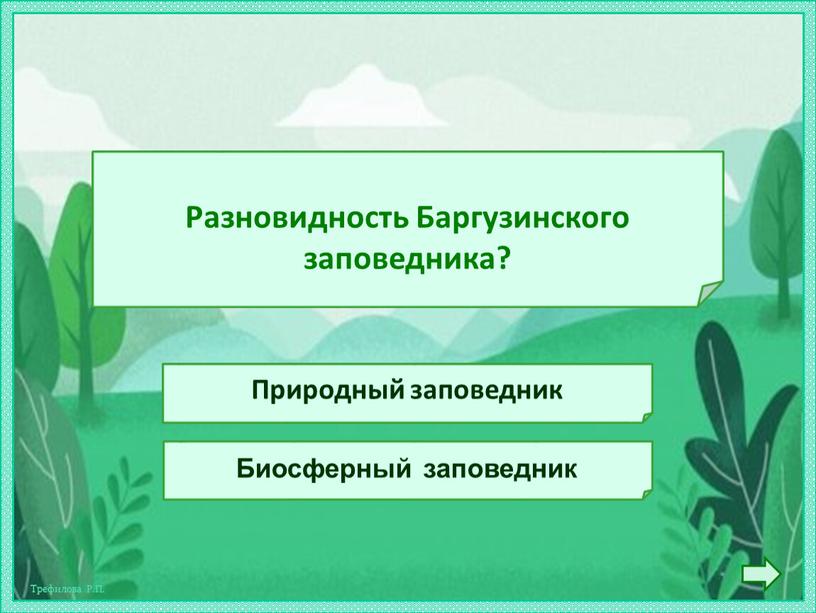 Разновидность Баргузинского заповедника?