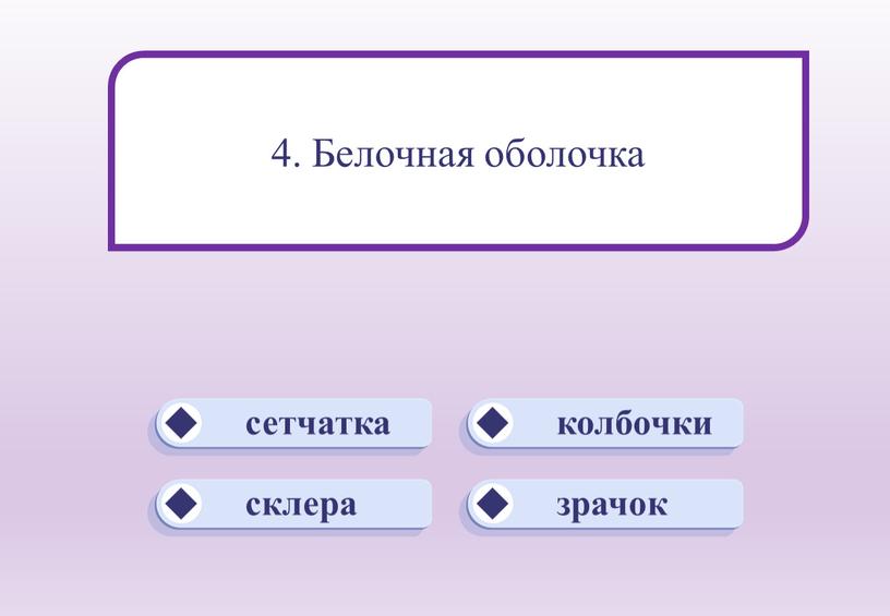 склера колбочки зрачок сетчатка 4. Белочная оболочка