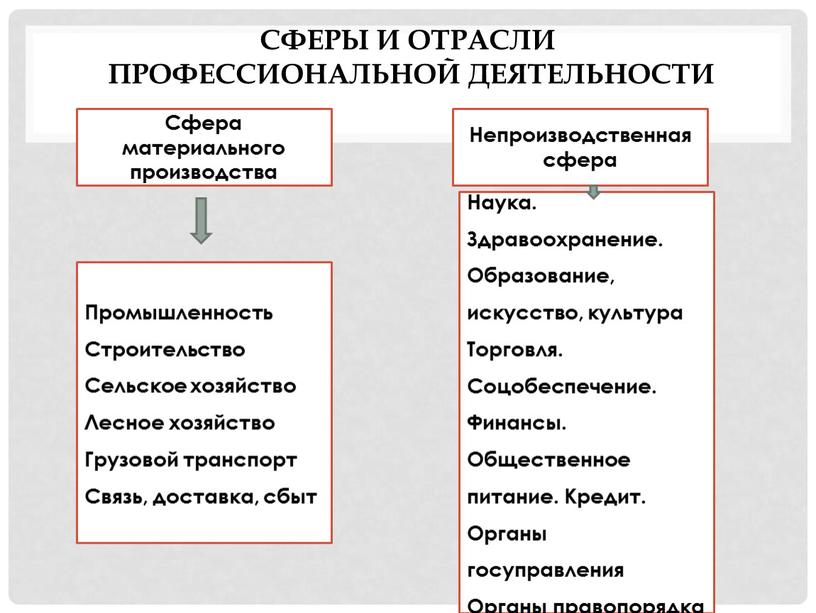 Сферы и отрасли профессиональной деятельности