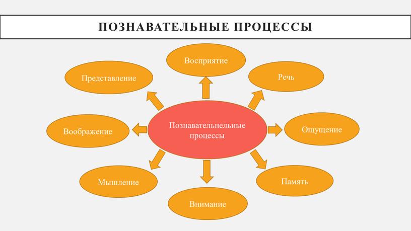 Познавательные процессы Познавательнельные процессы