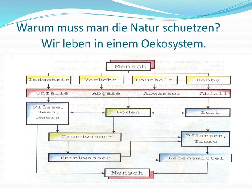 Warum muss man die Natur schuetzen?