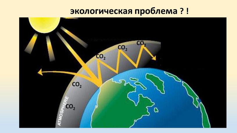 экологическая проблема ? !