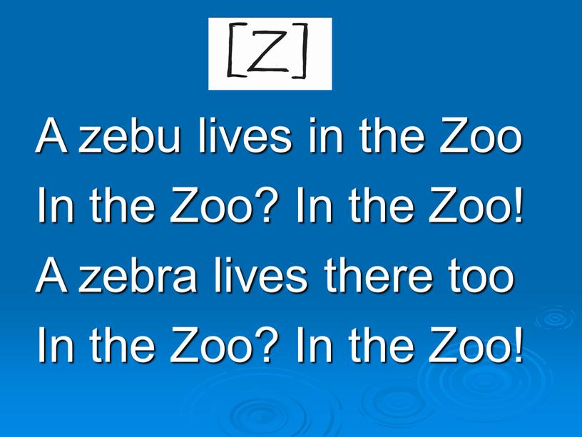 A zebu lives in the Zoo In the