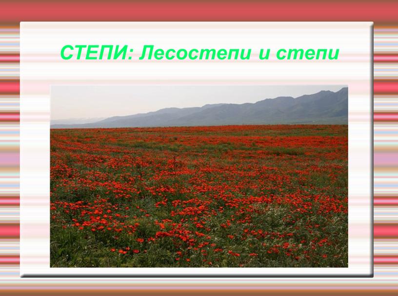 СТЕПИ: Лесостепи и степи