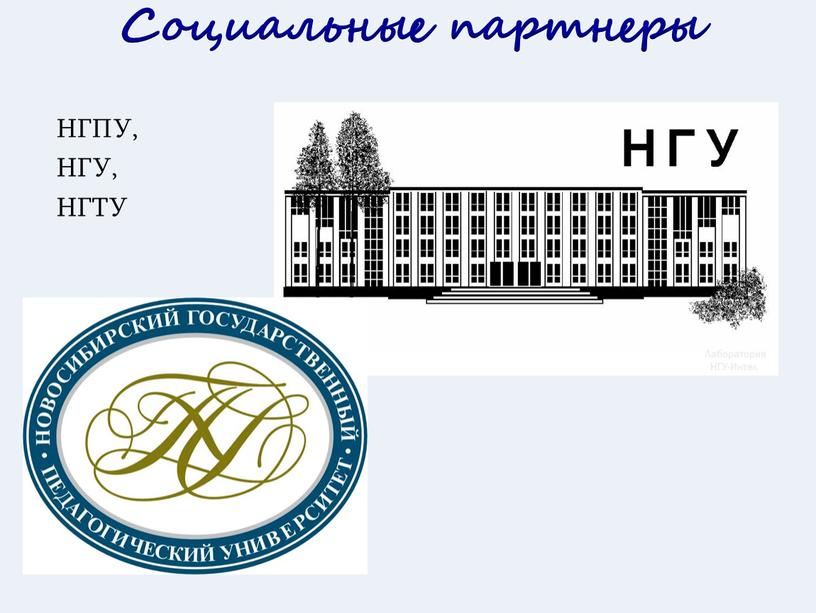 Социальные партнеры НГПУ, НГУ,