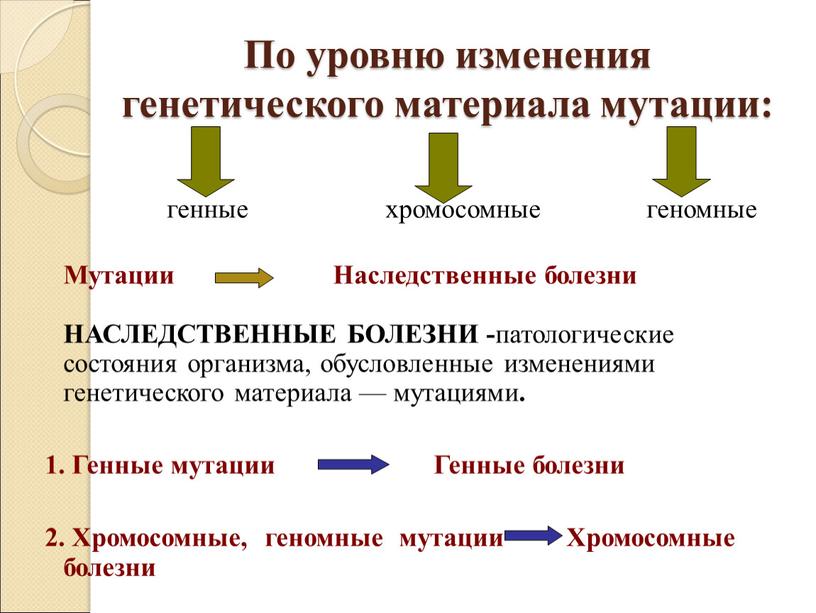 По уровню изменения генетического материала мутации: генные хромосомные геномные