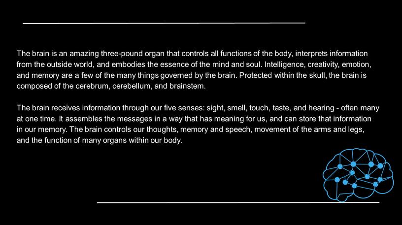 The brain is an amazing three-pound organ that controls all functions of the body, interprets information from the outside world, and embodies the essence of…