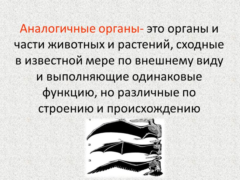 Аналогичные органы- это органы и части животных и растений, сходные в известной мере по внешнему виду и выполняющие одинаковые функцию, но различные по строению и…