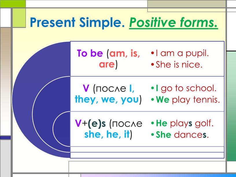 Present Simple. Positive forms