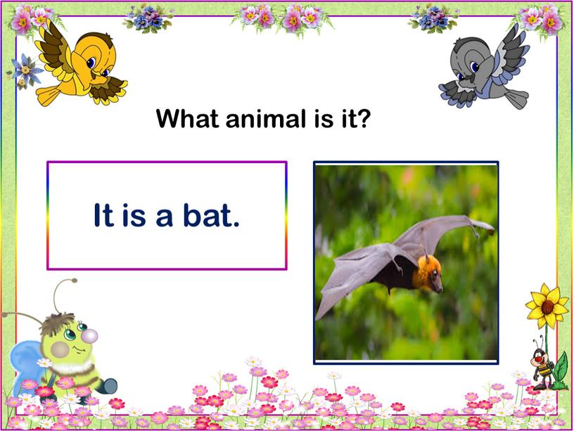 What animal is it? It is a bat