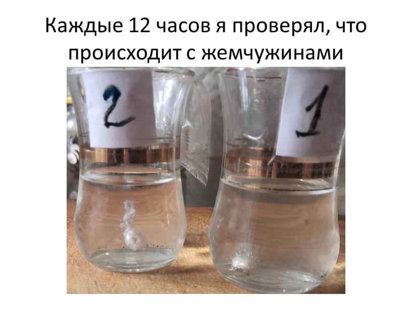 Каждые 12 часов я проверял, что происходит с жемчужинами