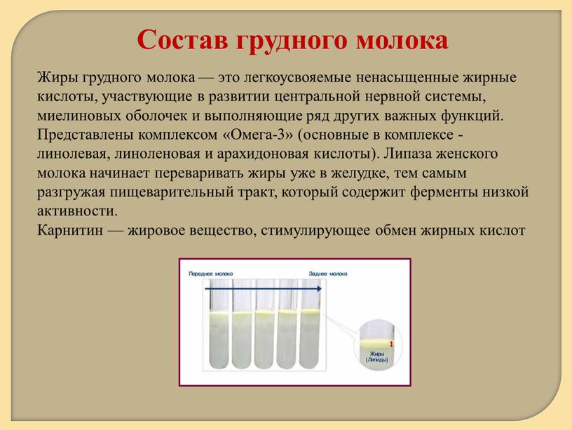 Состав грудного молока Жиры грудного молока — это легкоусвояемые ненасыщенные жирные кислоты, участвующие в развитии центральной нервной системы, миелиновых оболочек и выполняющие ряд других важных…