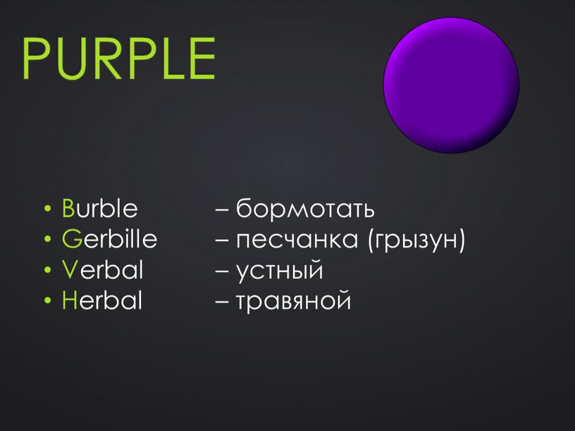 Purple Burble – бормотать Gerbille – песчанка (грызун)