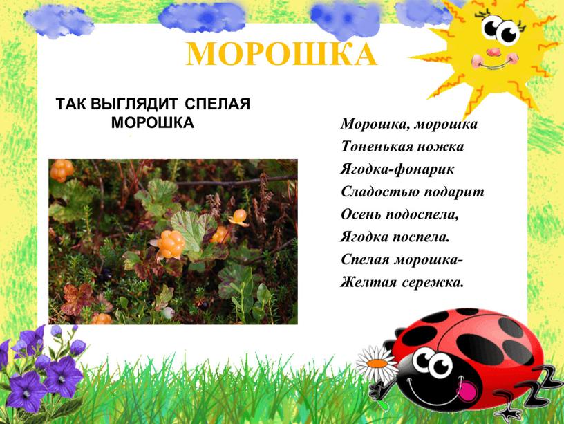 МОРОШКА ТАК ВЫГЛЯДИТ СПЕЛАЯ МОРОШКА