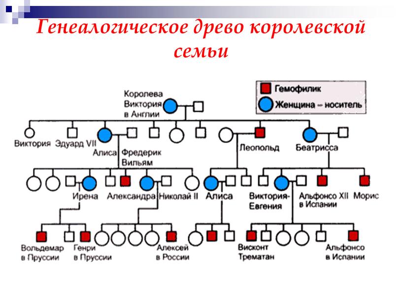 Генеалогическое древо королевской семьи