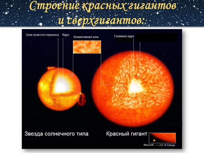 Строение красных гигантов и сверхгигантов: :