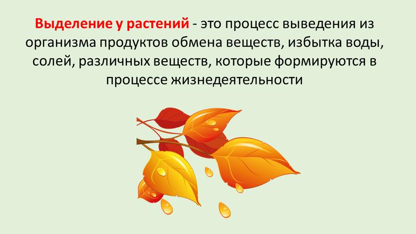 Выделение у растений - это процесс выведения из организма продуктов обмена веществ, избытка воды, солей, различных веществ, которые формируются в процессе жизнедеятельности