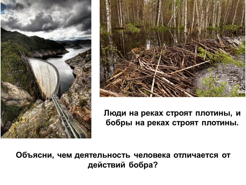 Что в человеке заложено природой а что нет. Смотреть фото Что в человеке заложено природой а что нет. Смотреть картинку Что в человеке заложено природой а что нет. Картинка про Что в человеке заложено природой а что нет. Фото Что в человеке заложено природой а что нет